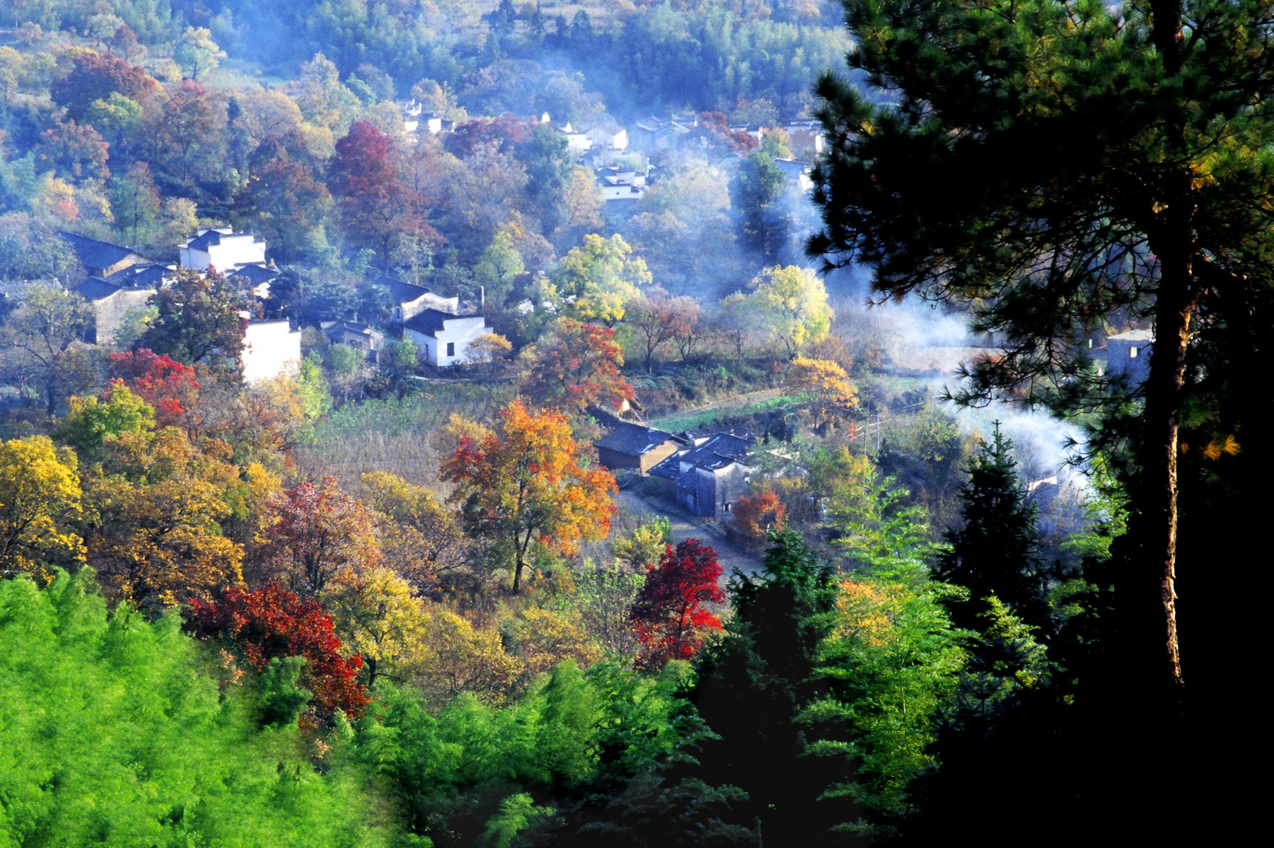 秋意浓  拍摄于黟县.jpg