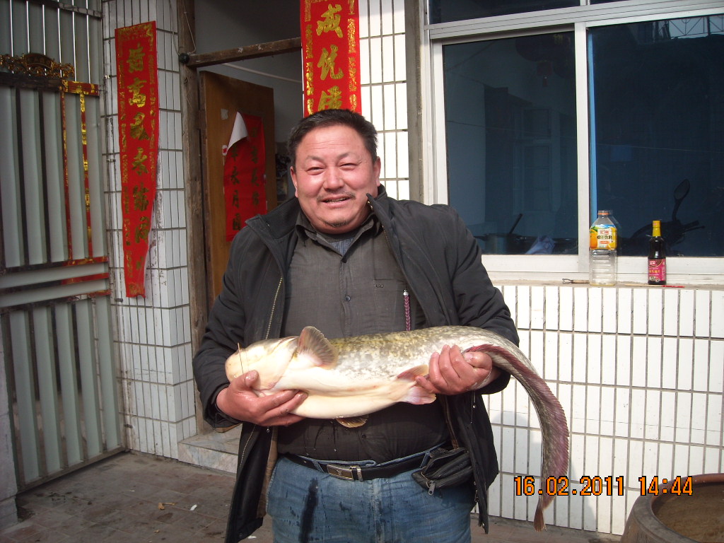 祝深圳汪氏宗亲联谊会象这28斤大鲢鱼年年有余。