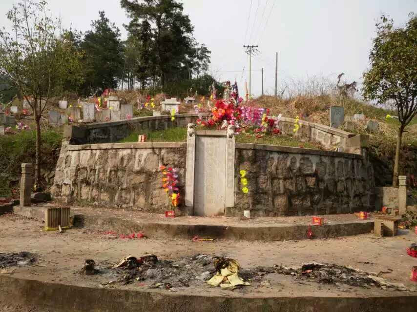 在宝五祖墓茔前祭祖
