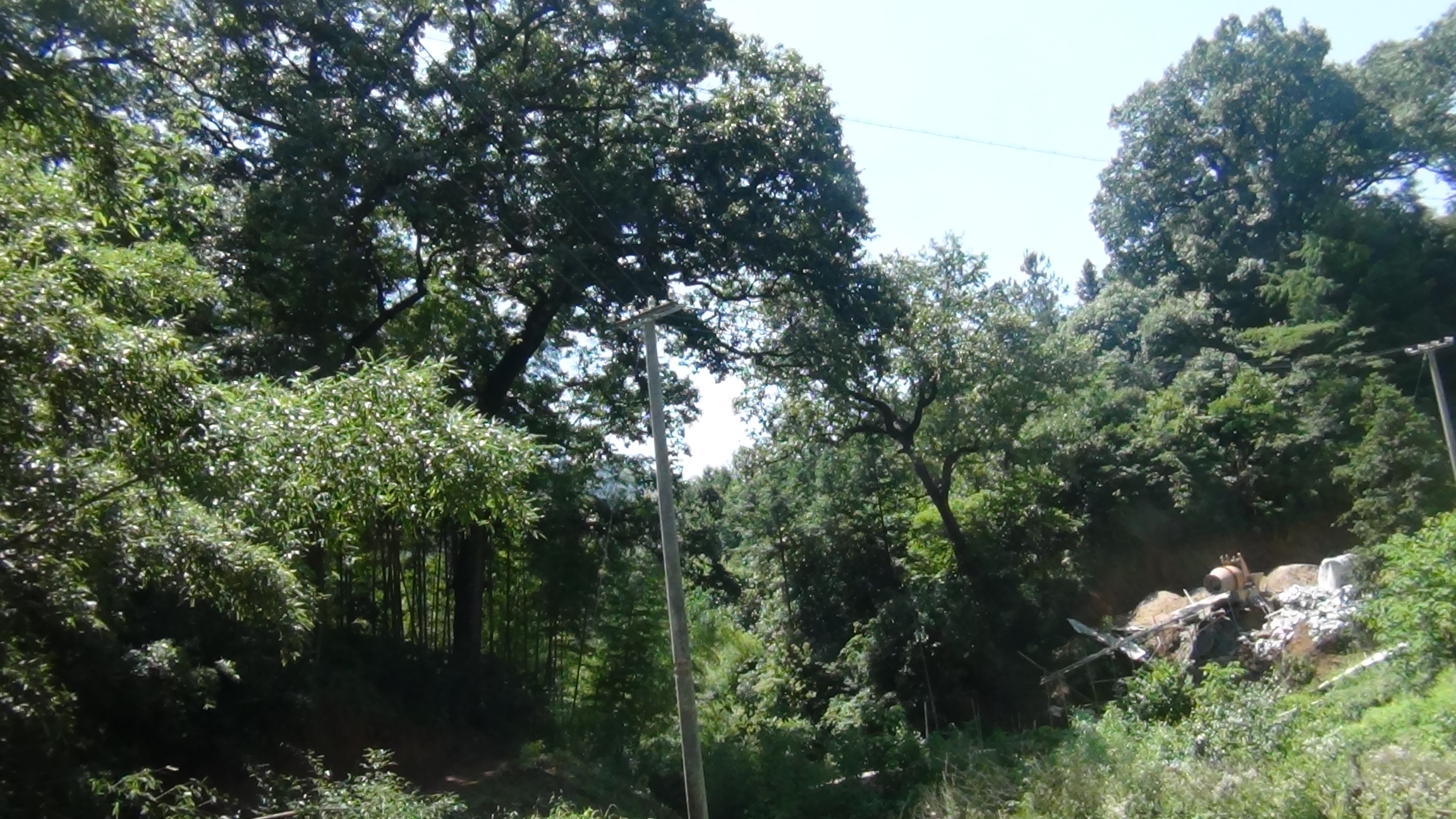 正在修通往汪家老宅路