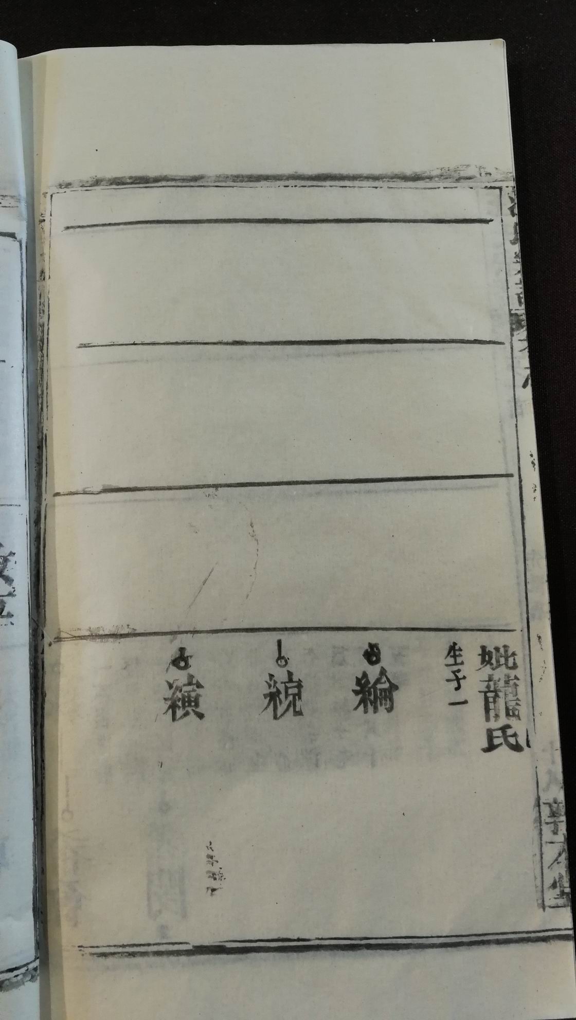 调整大小 036.jpg