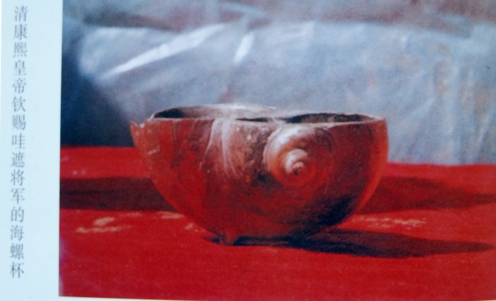 清康熙钦赐哇遮将军 海螺杯