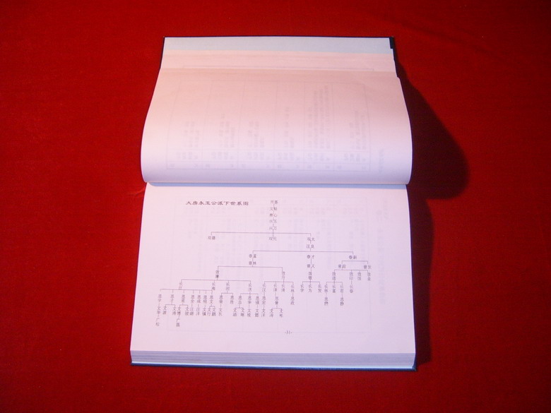 《大坪汪氏家谱》内页