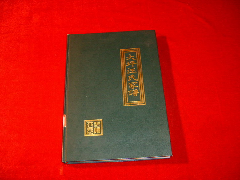 《大坪汪氏家谱》封面