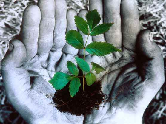 幸福是手中的希望