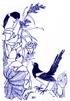 喜鹊、莲、芦