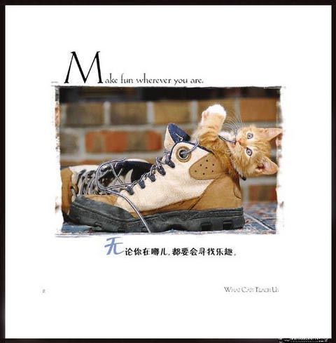 有时候，即使只有一个人也不会感到寂寞