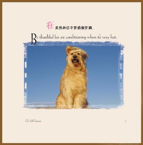 凡事换一个角度去看，可能会找到不同的心情。