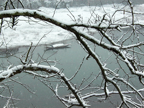 水环境5 副本.jpg