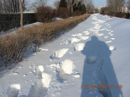 2、晨练时常走的小路。