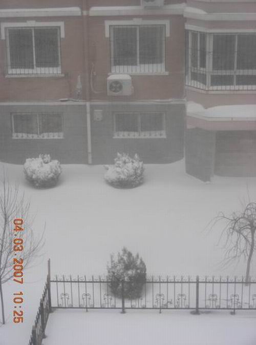 正月十五我居住的城市下了一场暴风雪，雪后媒体报道是我市1953年有气象记录以来的第一场大雪。1、大雪进行