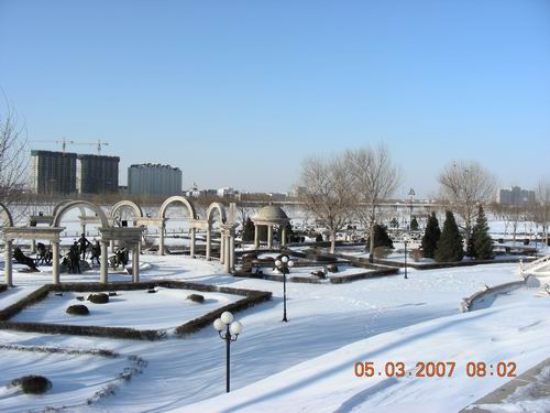 3、注意那半人高的树墙几乎被埋上了。