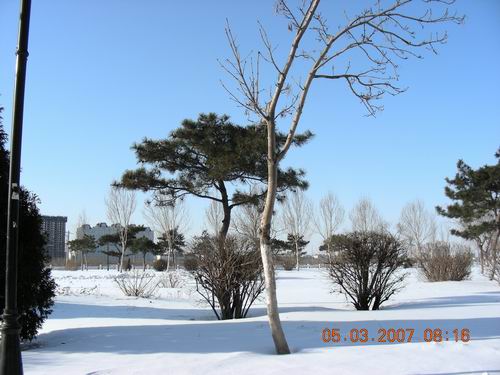 6、多么蓝的天啊。