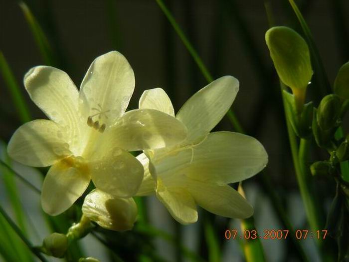 第三天就有了伙伴了