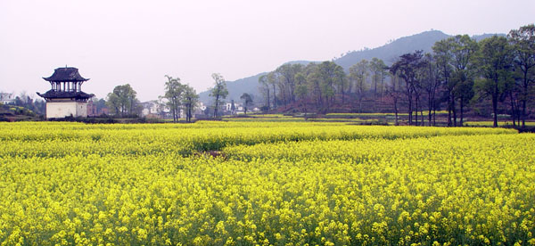 徽州区西溪南镇竦塘村