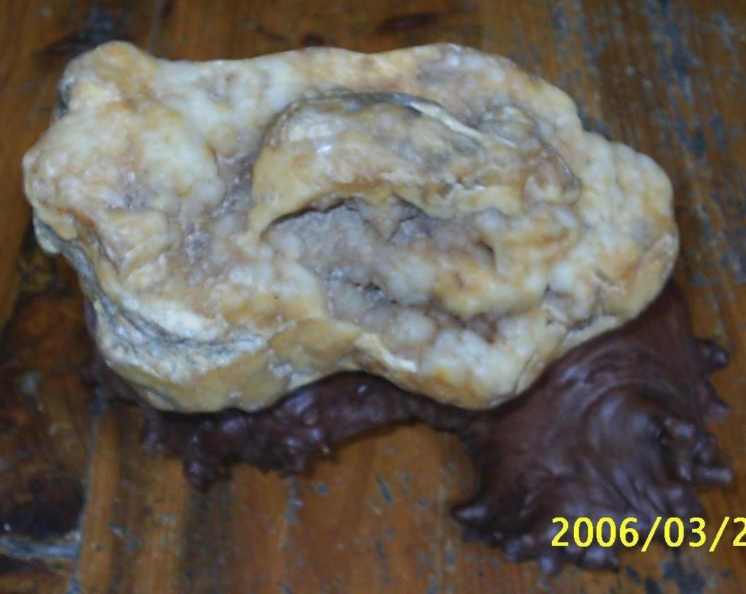 流行歌曲——老鼠的最爱