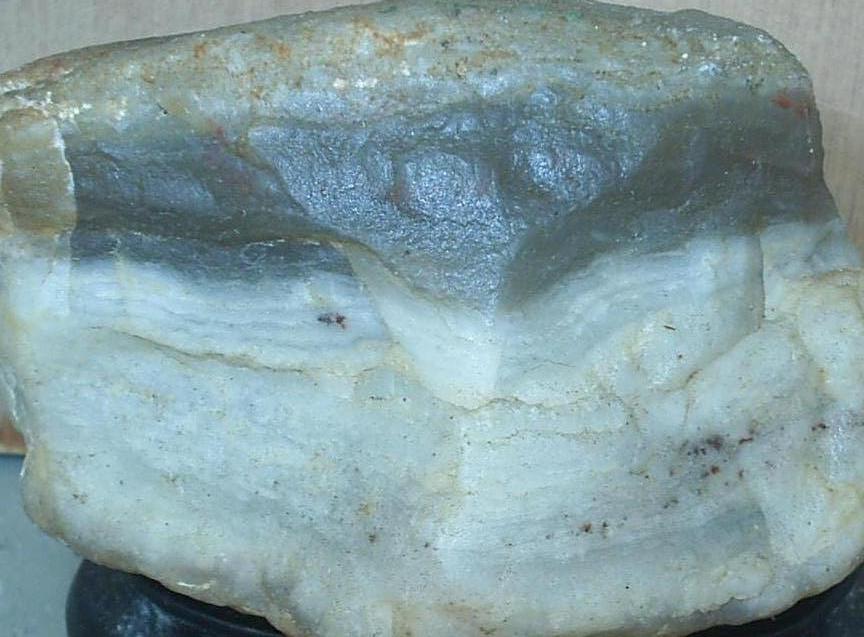 见过这种肉吗？