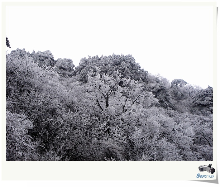 看看冬天的黄山有多美