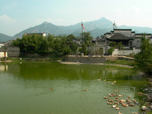 水环境3 副本.jpg