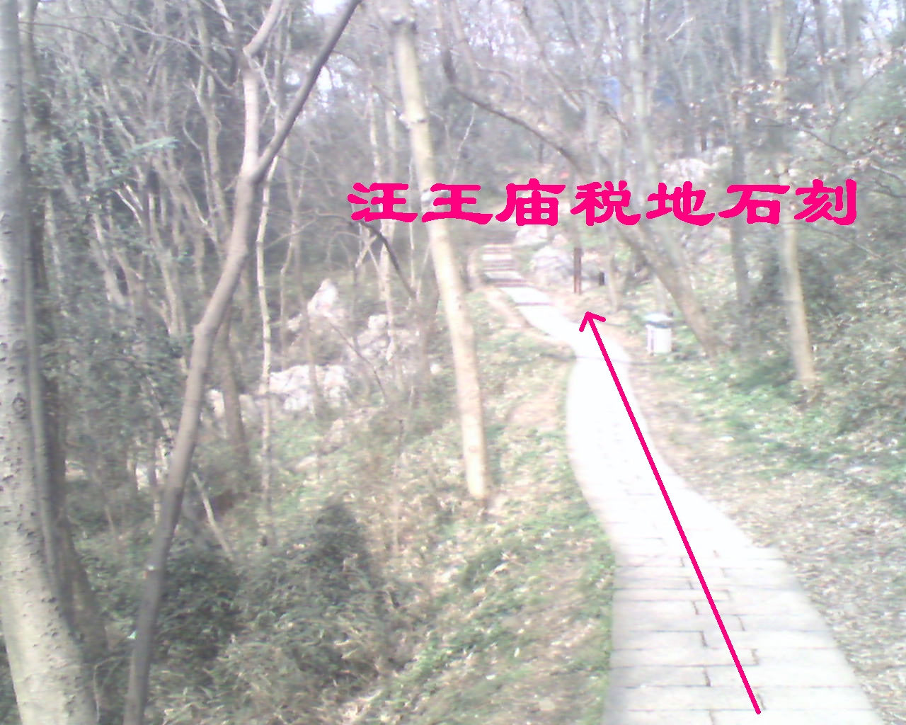 ⑦.从南往北方向