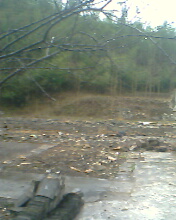 只是做了些处理