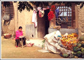 黄土高原上的人家