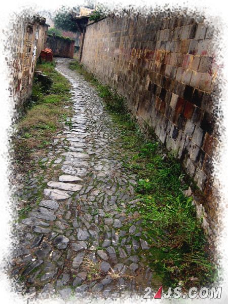 这是大陈的小康弄!