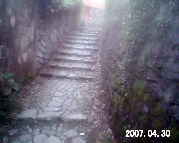 这是我家侧门口的石台阶--叫"老拂殿门"