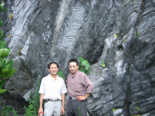 有许多本家同行哦！