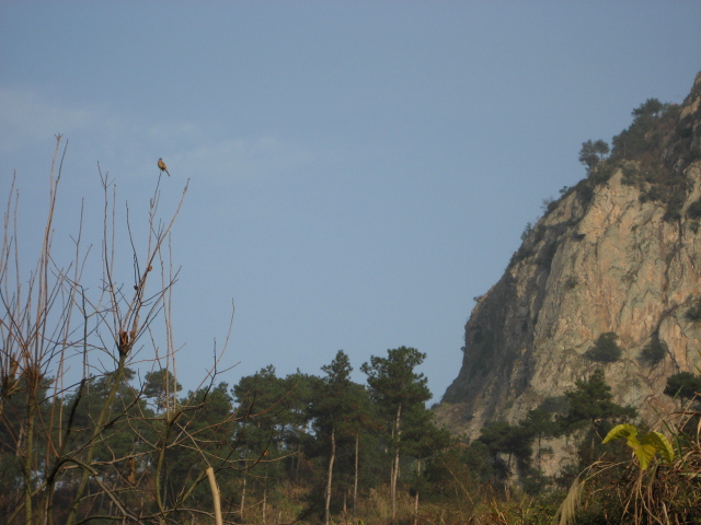 横看成岭侧成峰.