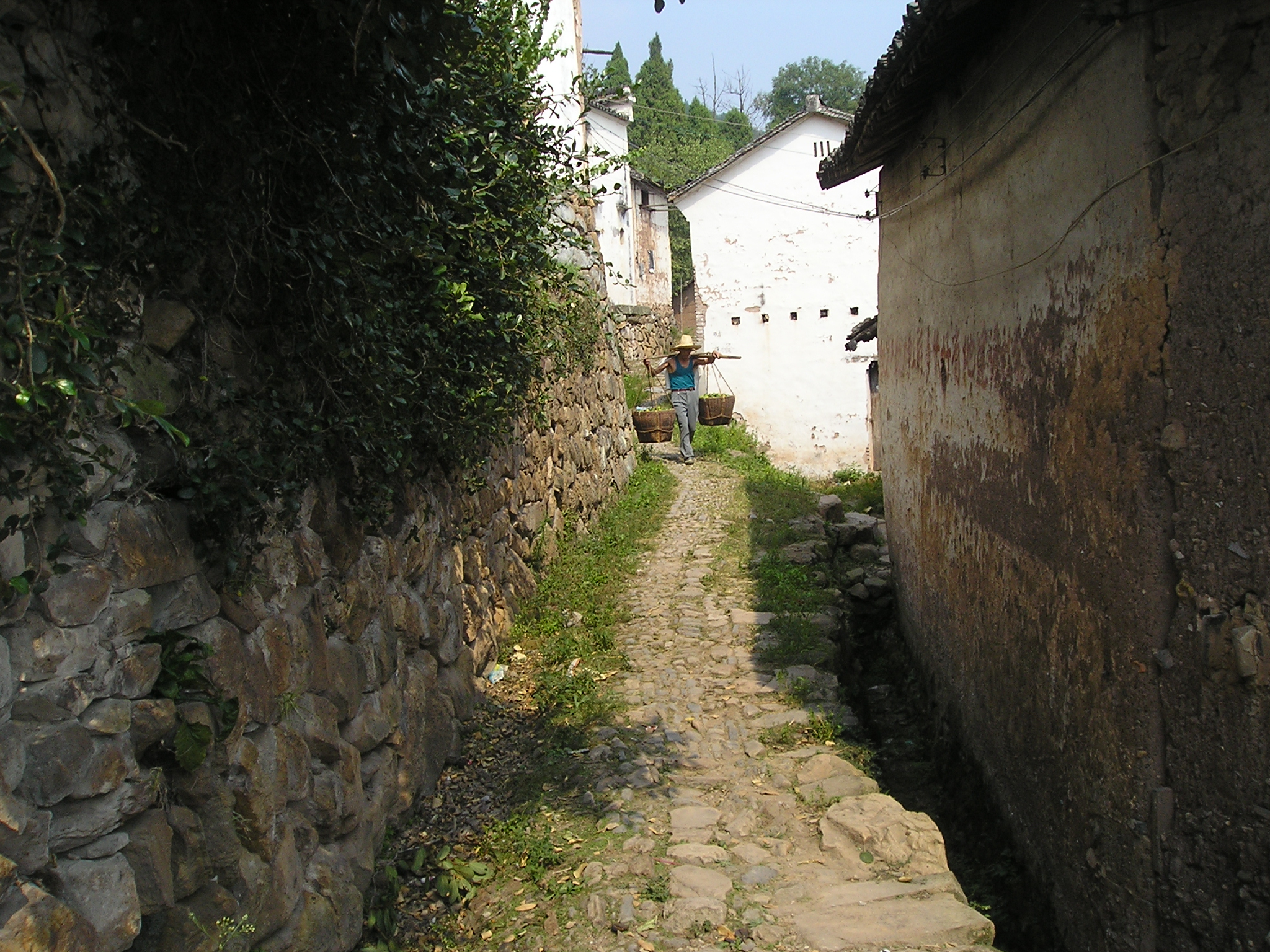 汪山之旅\\古道.