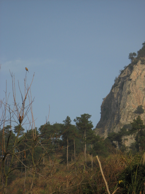 玉华山的艺术照,就像是大师级画家画的风景画,有点八大山人画的味道.