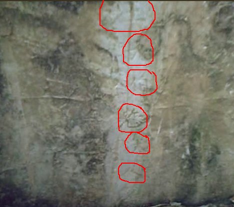 圈红处为"汪元伯老大人"下方还有一个墓字