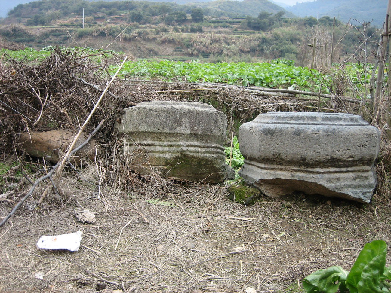云台寺遗存柱础.JPG