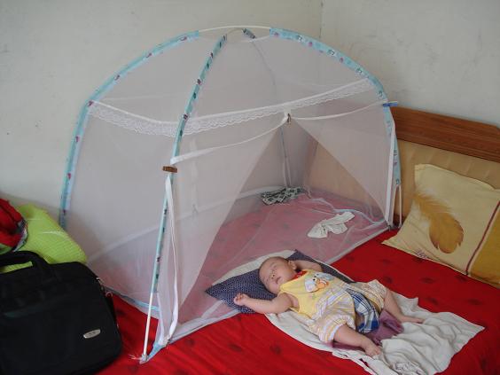 汪常昊和他的专用蚊帐