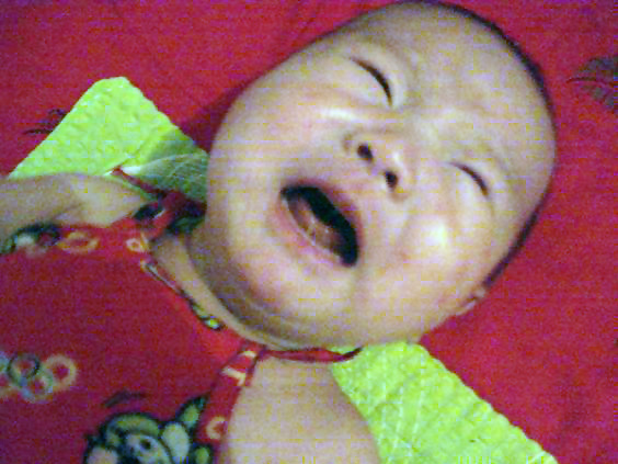 你们只管自己吃饭，也没人管我了呀————哇哇————