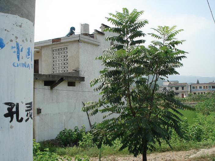 顺便拍了一张孔灵村