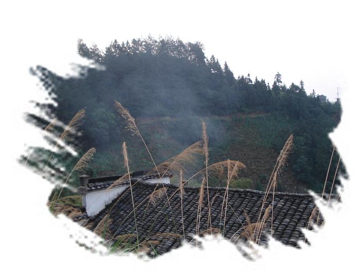 清晨山村。（一草一木皆有情——木岭后记之26）