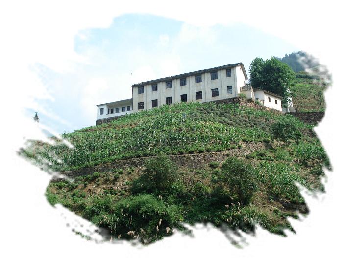 木岭后小学。（一草一木皆有情——木岭后记之16）