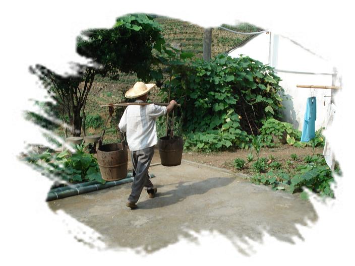 母亲。（一草一木皆有情——木岭后记之11）