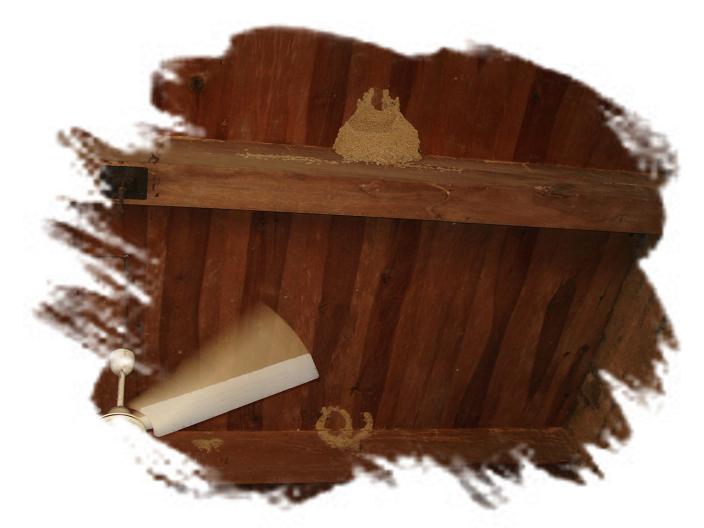 飞进寻常百姓家。（一草一木皆有情——木岭后记之21）