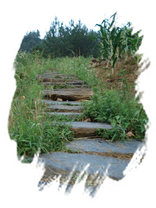 天路。（一草一木皆有情——木岭后记之7）