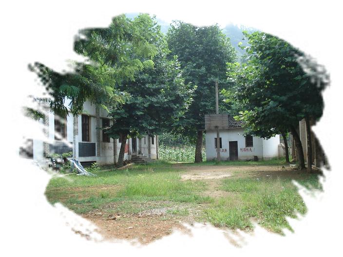 安静的校园（一草一木皆有情——木岭后记之17）