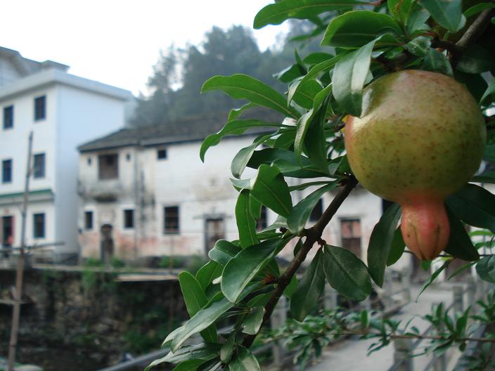 08年夏的汪满田