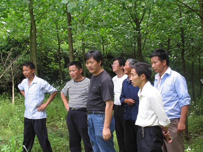 满目荒凉心中更觉无奈