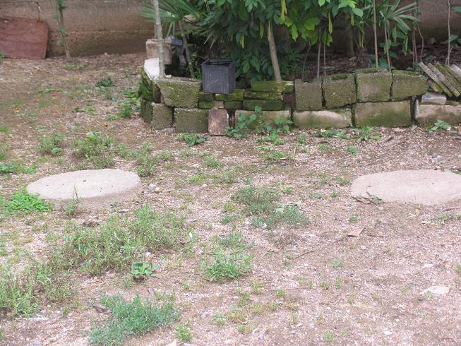 大庙汪村汪公大庙遗址