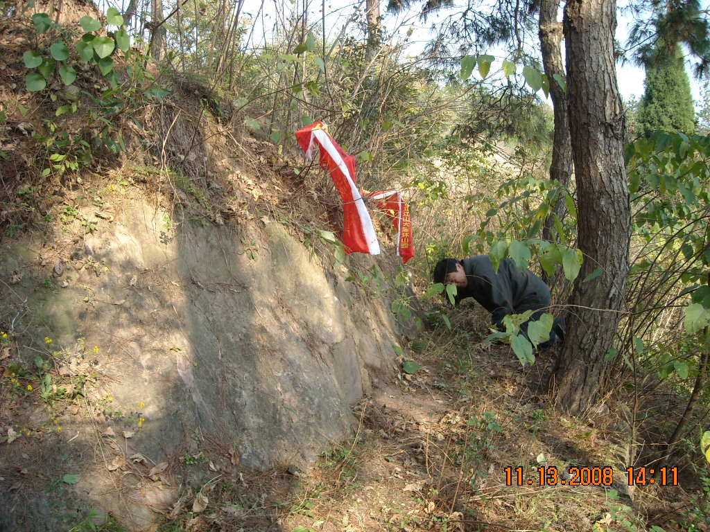 叔叔家来正在跪拜