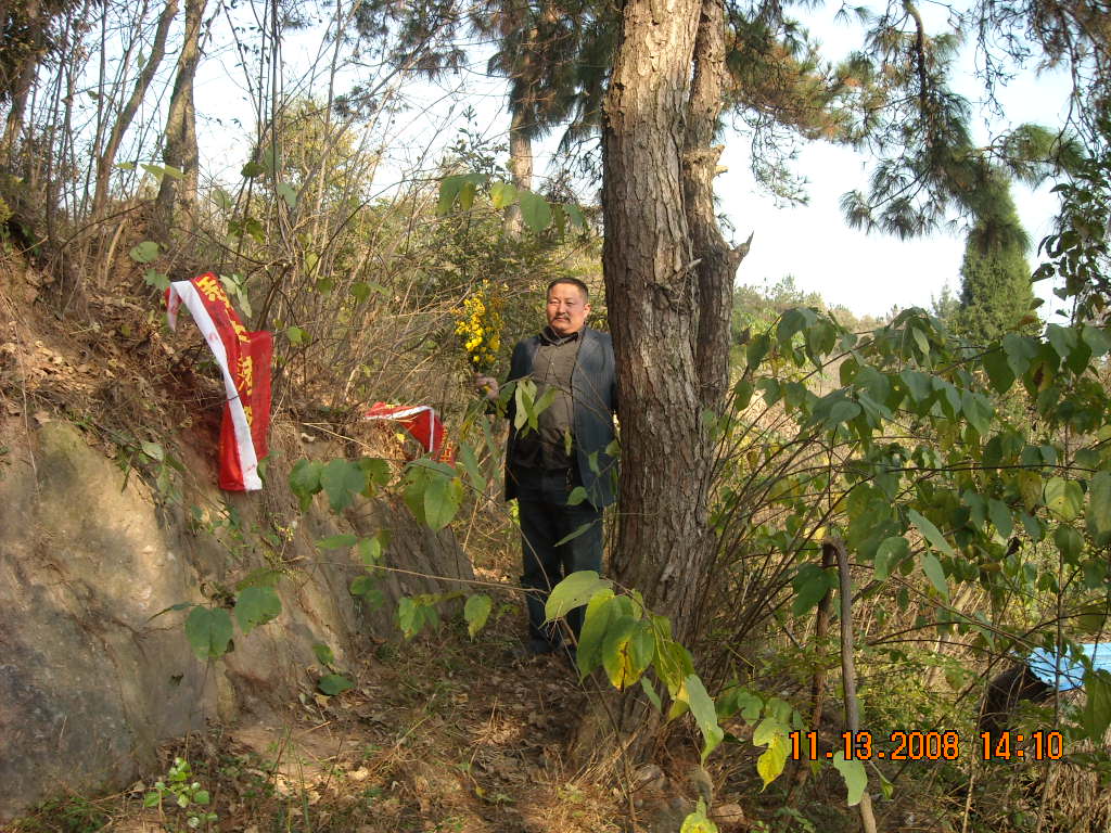 这两管坟是88世：老大廷科、老二科举三位老人之墓