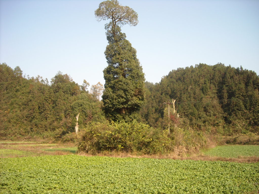 岁月在记录时间，历史成为现实