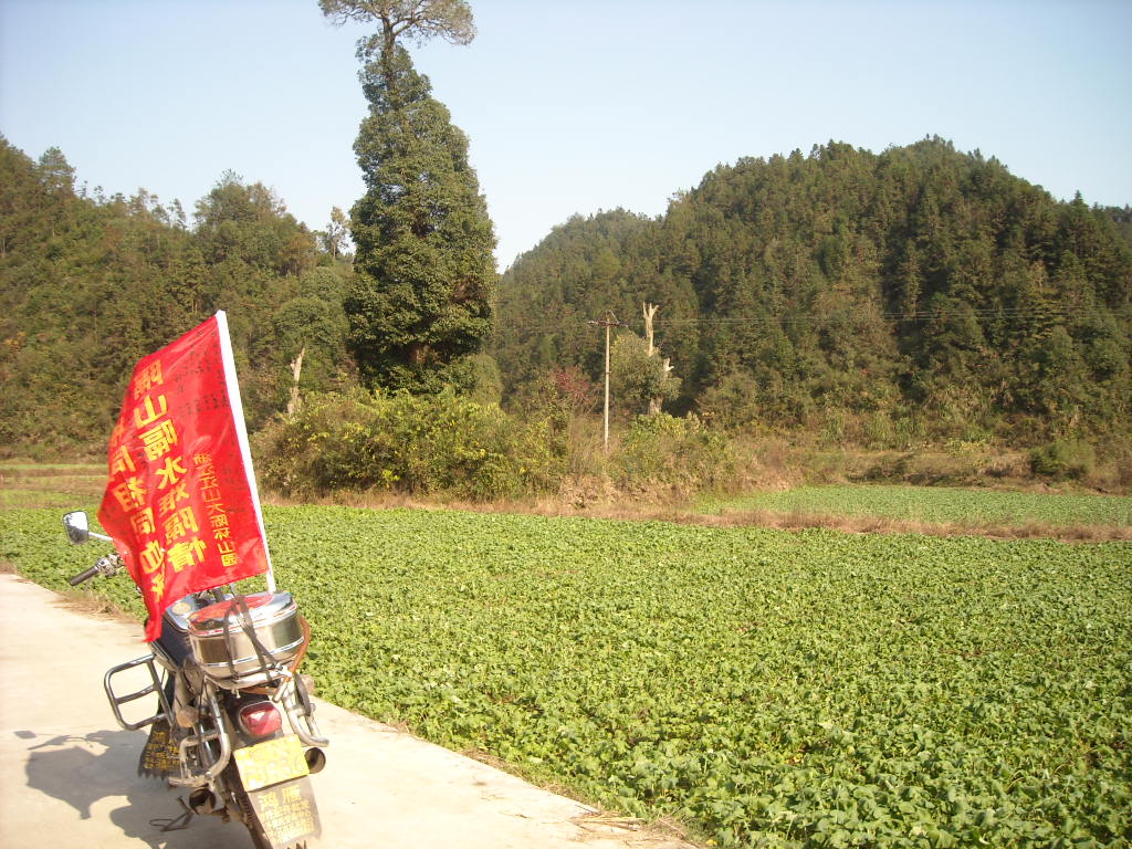 旌城源口淡，铁佛公后人走过的路